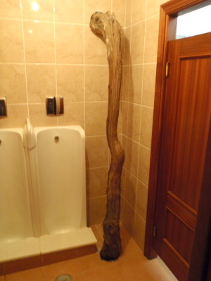 Wait, that's a Grape Vine.